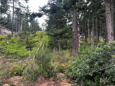 View 16