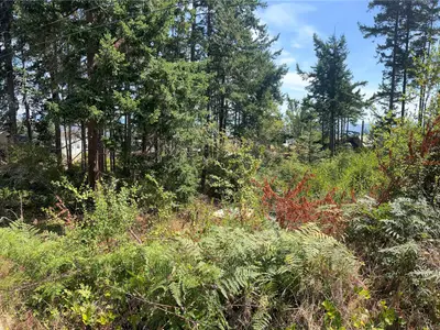 View 26