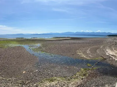 View 28