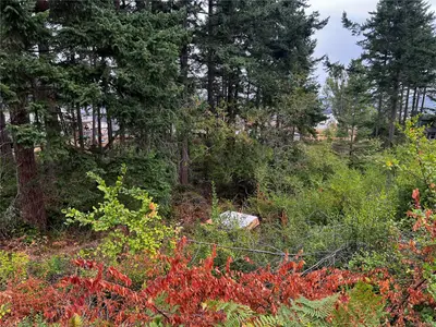 View 24