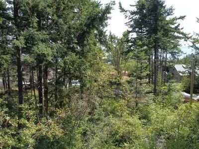 View 14
