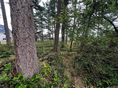 View 18