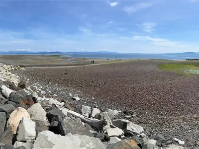 View 29