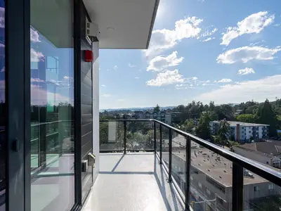 View 31