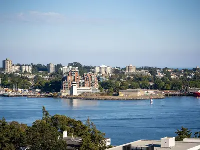 View 39