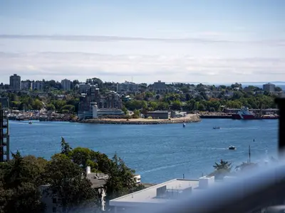 View 25