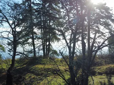 View 6