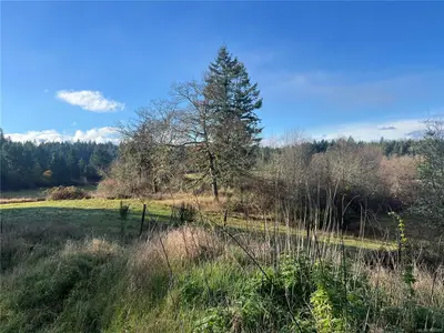 View 24