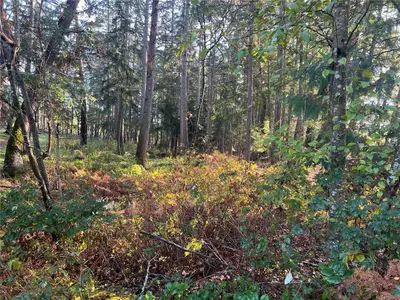View 30