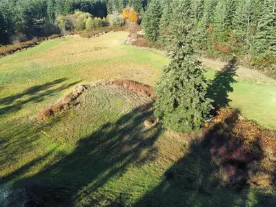 View 14