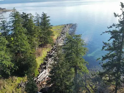 View 41
