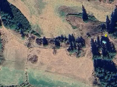 View 19