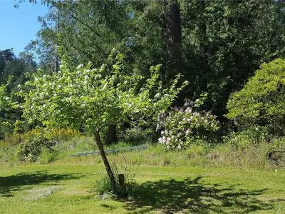 View 54