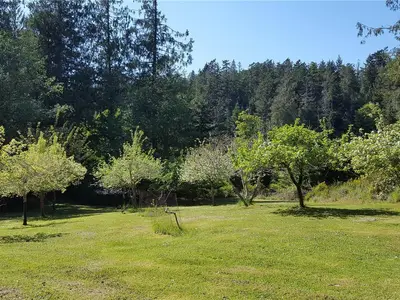 View 50
