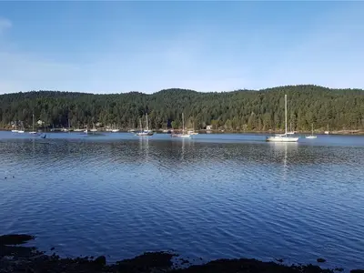 View 64