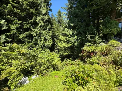 View 34
