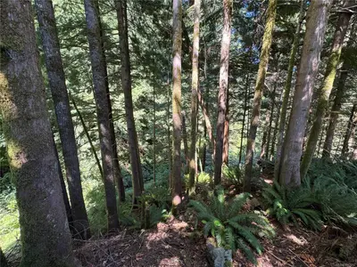 View 33