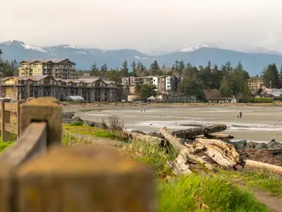 View 35