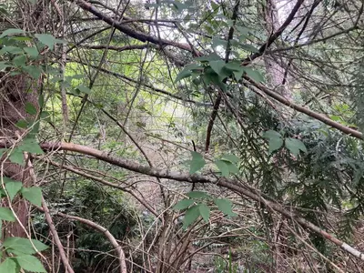 View 7