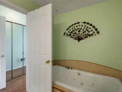 View 24