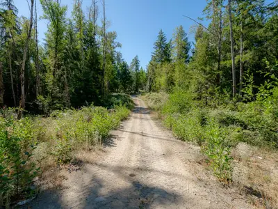 View 32