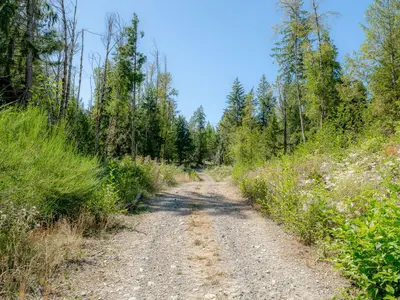 View 30