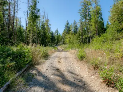 View 31