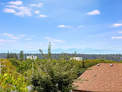 View 38
