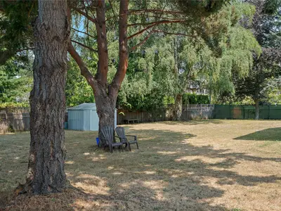 View 16
