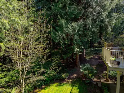 View 33