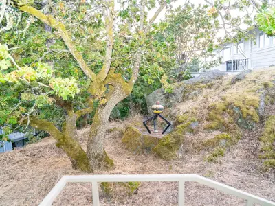 View 30