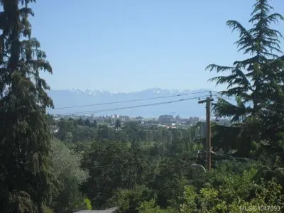 View 25