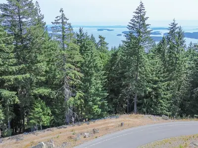 View 23