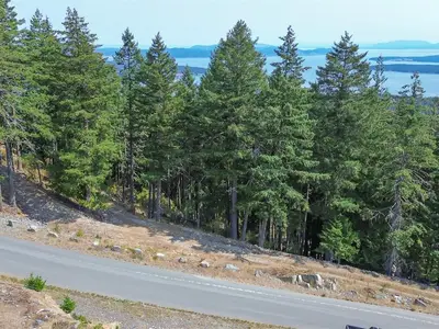 View 24