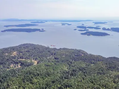 View 15