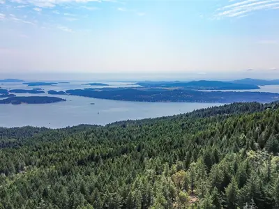 View 19