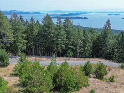 View 21
