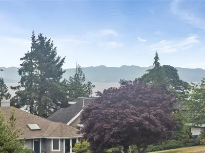 View 24