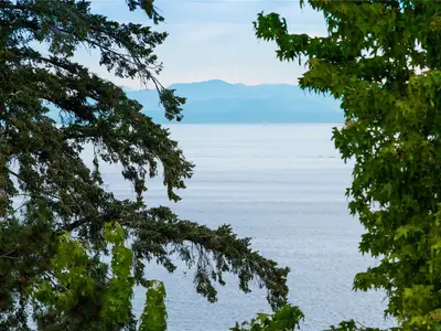 View 74