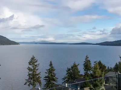 View 31