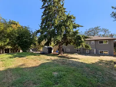 View 32