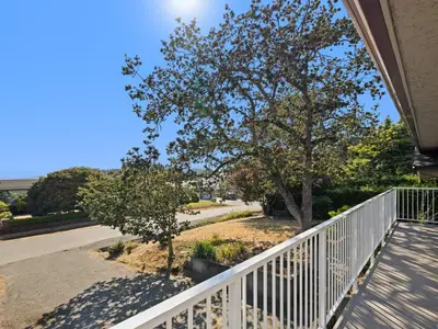 View 25