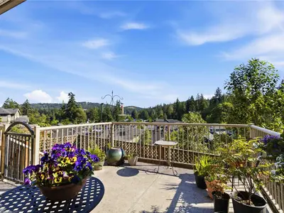 View 33