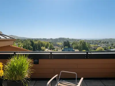 View 19