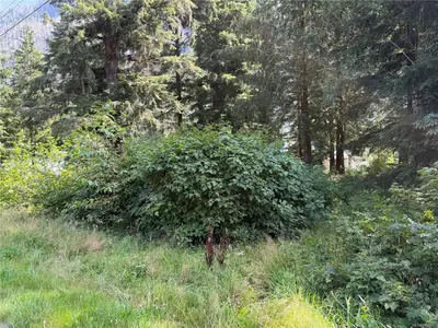 View 3