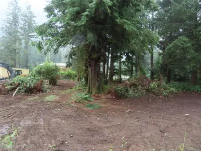 View 19