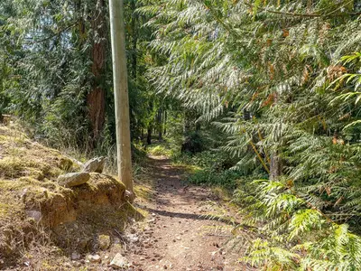 View 38