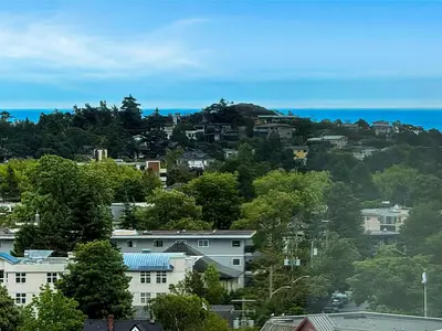 View 19