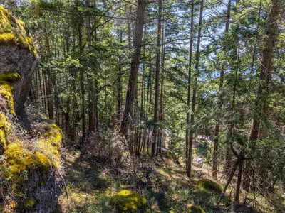 View 25
