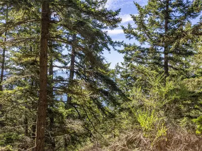 View 17